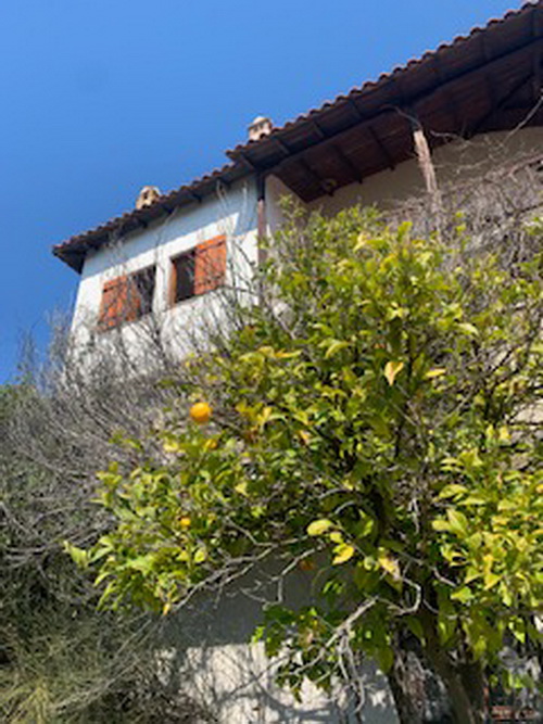 review-greece-online-1