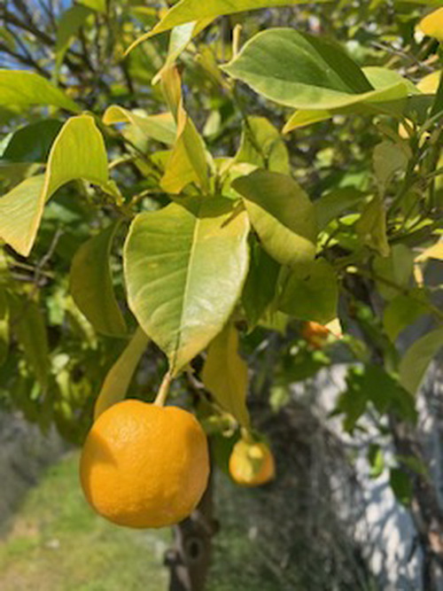 review-greece-online-4