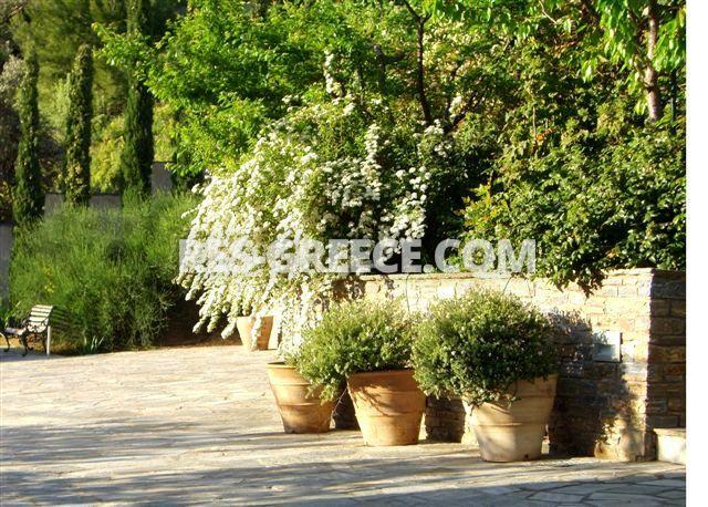 Вилла Аттики, Афины-Аттика, Греция -  - Фото 39