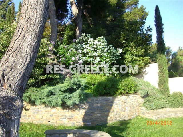 Вилла Аттики, Афины-Аттика, Греция -  - Фото 42