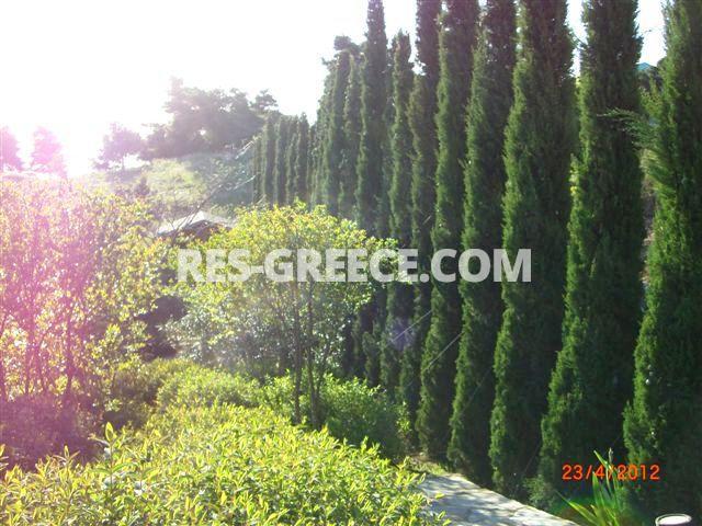 Вилла Аттики, Афины-Аттика, Греция -  - Фото 43