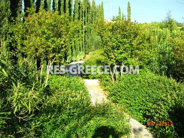 Вилла Аттики, Афины-Аттика, Греция -  - Фото 44