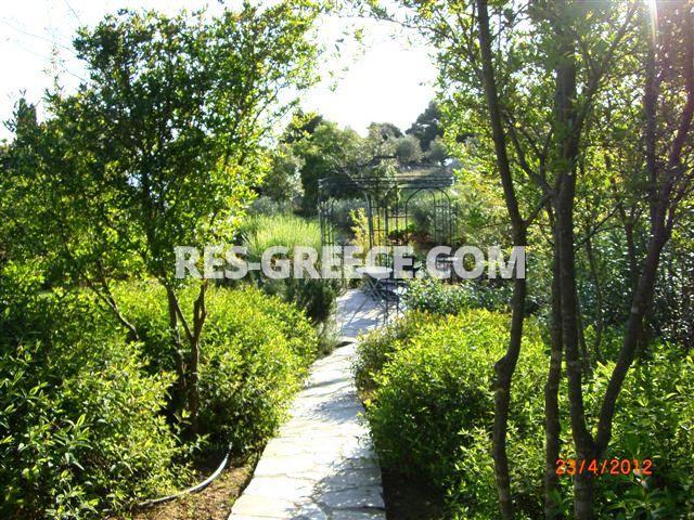 Вилла Аттики, Афины-Аттика, Греция -  - Фото 45