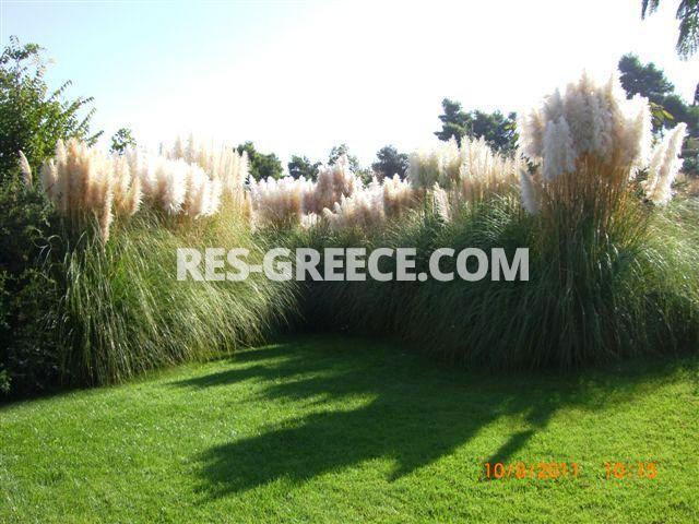 Вилла Аттики, Афины-Аттика, Греция -  - Фото 46