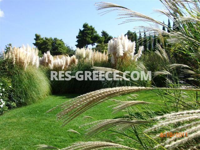 Вилла Аттики, Афины-Аттика, Греция -  - Фото 47