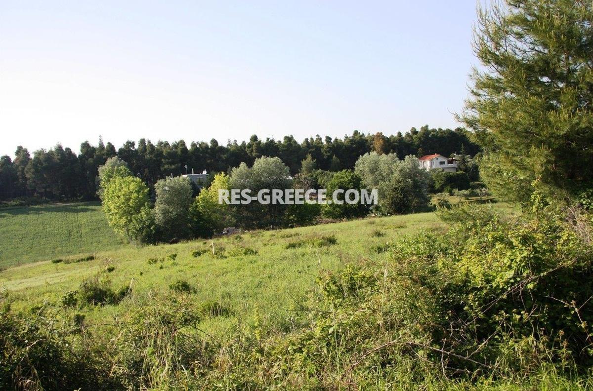 Участок Сани, Халкидики-Кассандра, Греция -  - Фото 8