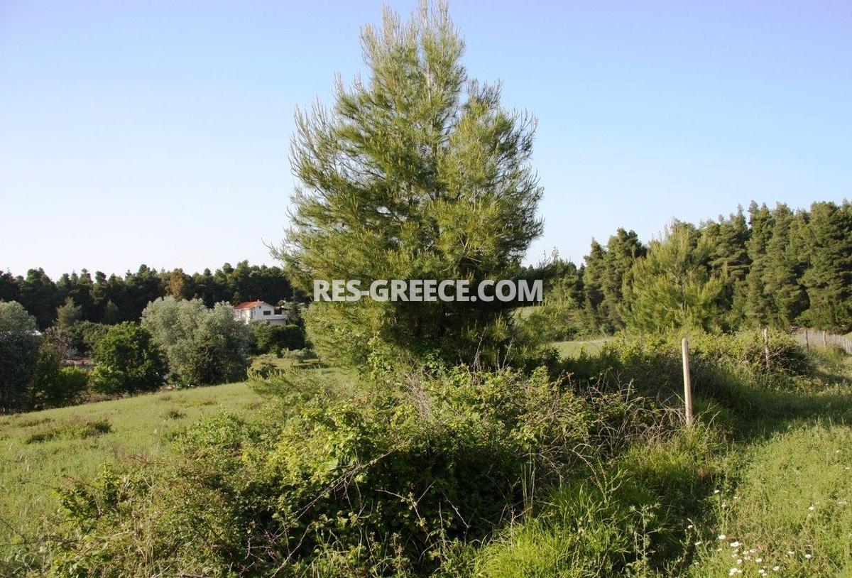 Участок Сани, Халкидики-Кассандра, Греция -  - Фото 9