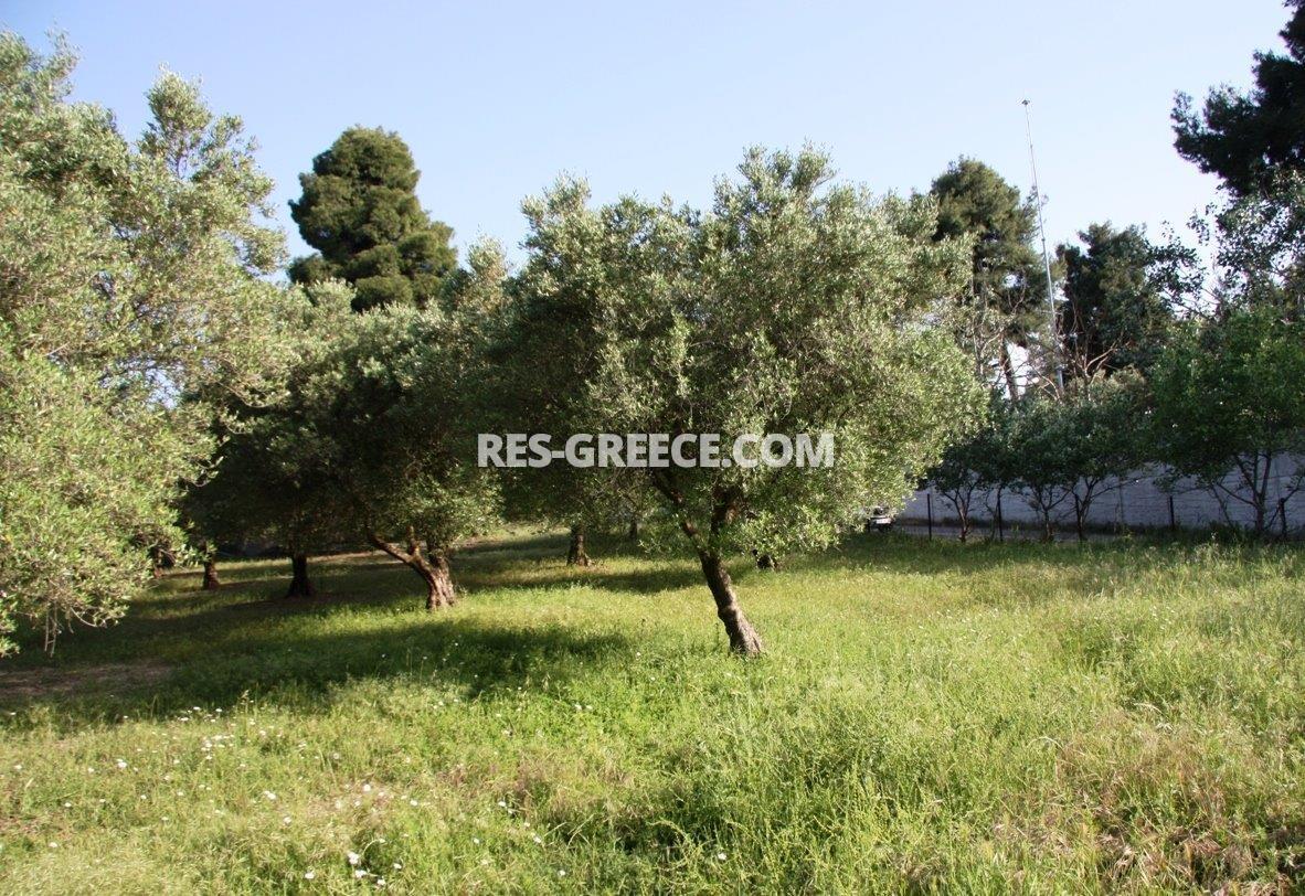 Участок Сани, Халкидики-Кассандра, Греция -  - Фото 10