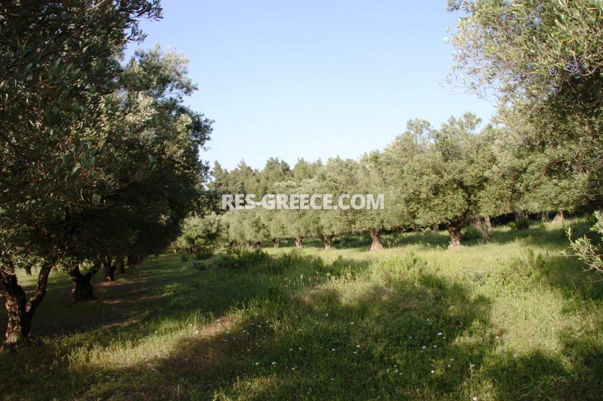 Участок Сани, Халкидики-Кассандра, Греция -  - Фото 11