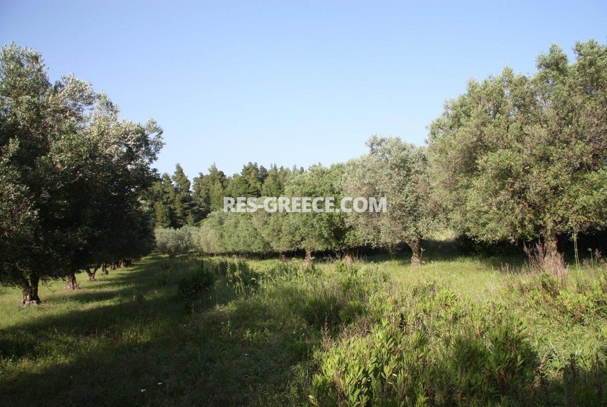 Участок Сани, Халкидики-Кассандра, Греция -  - Фото 15