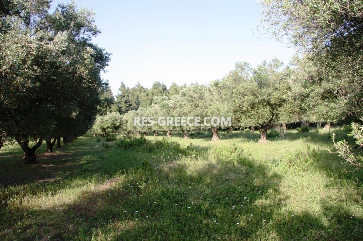 Участок Сани, Халкидики-Кассандра, Греция -  - Фото 14