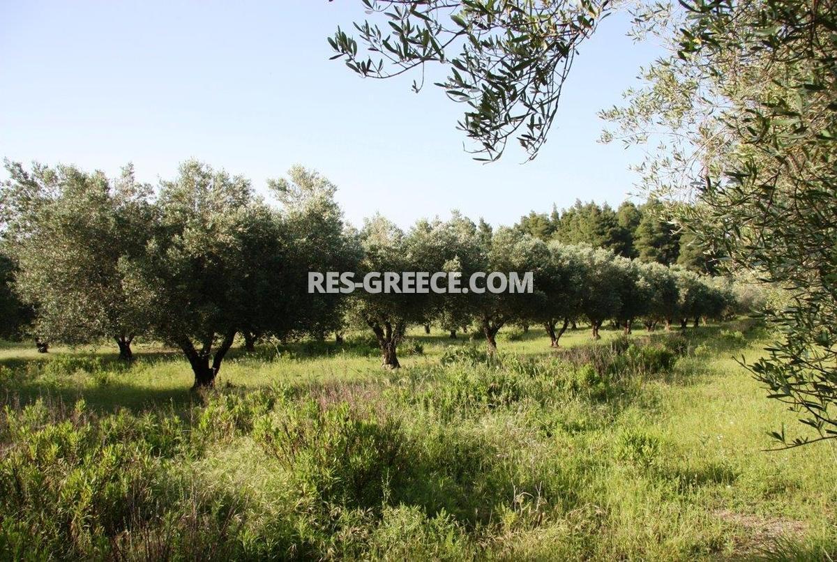 Участок Сани, Халкидики-Кассандра, Греция -  - Фото 16