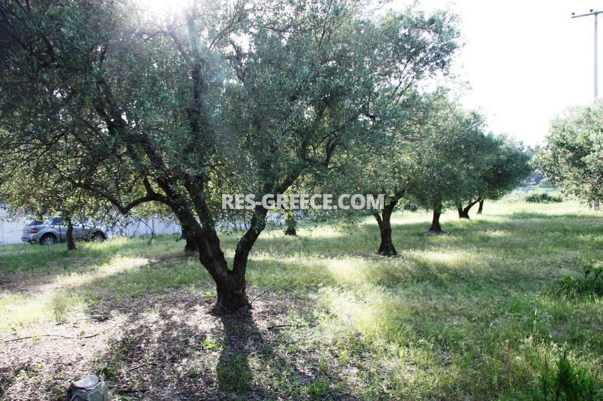 Участок Сани, Халкидики-Кассандра, Греция -  - Фото 17