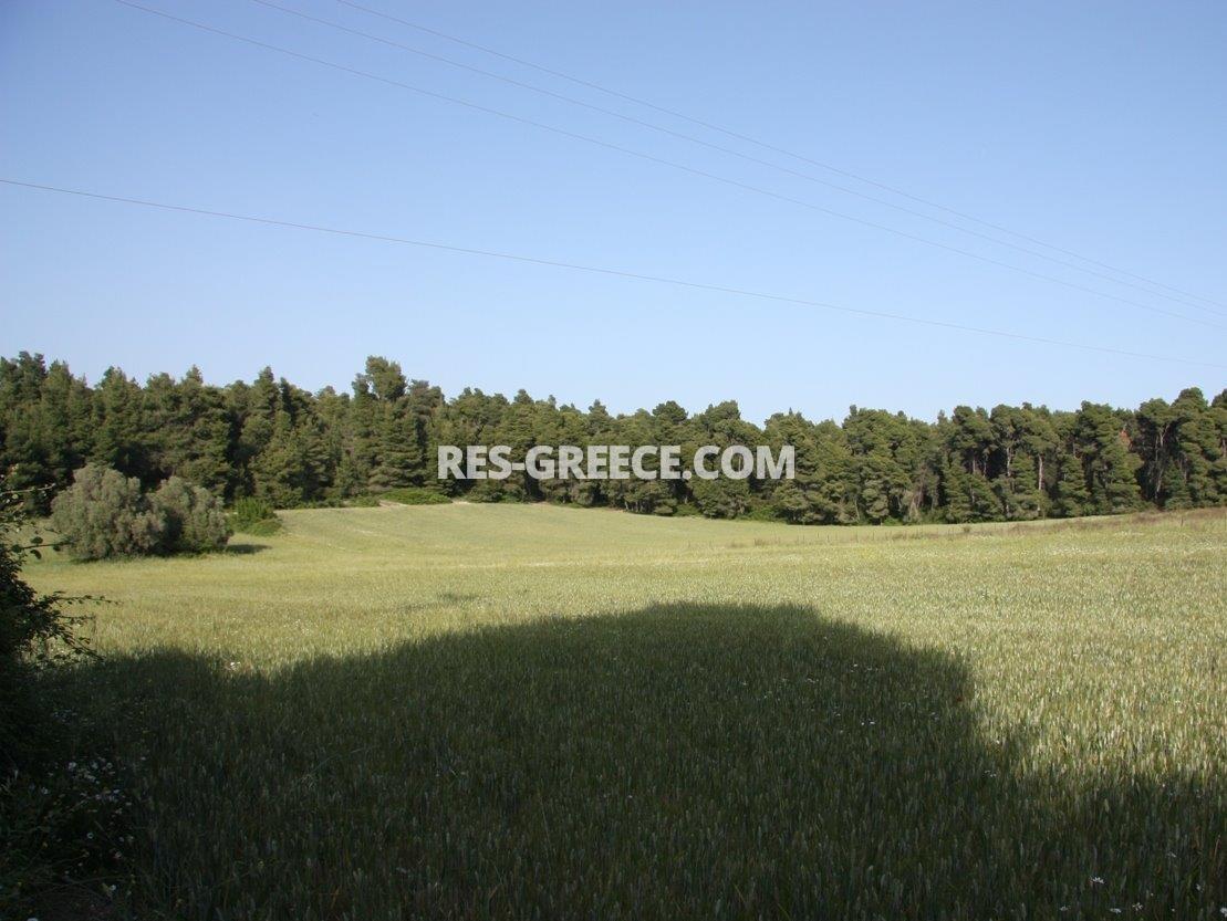 Участок Сани, Халкидики-Кассандра, Греция -  - Фото 18