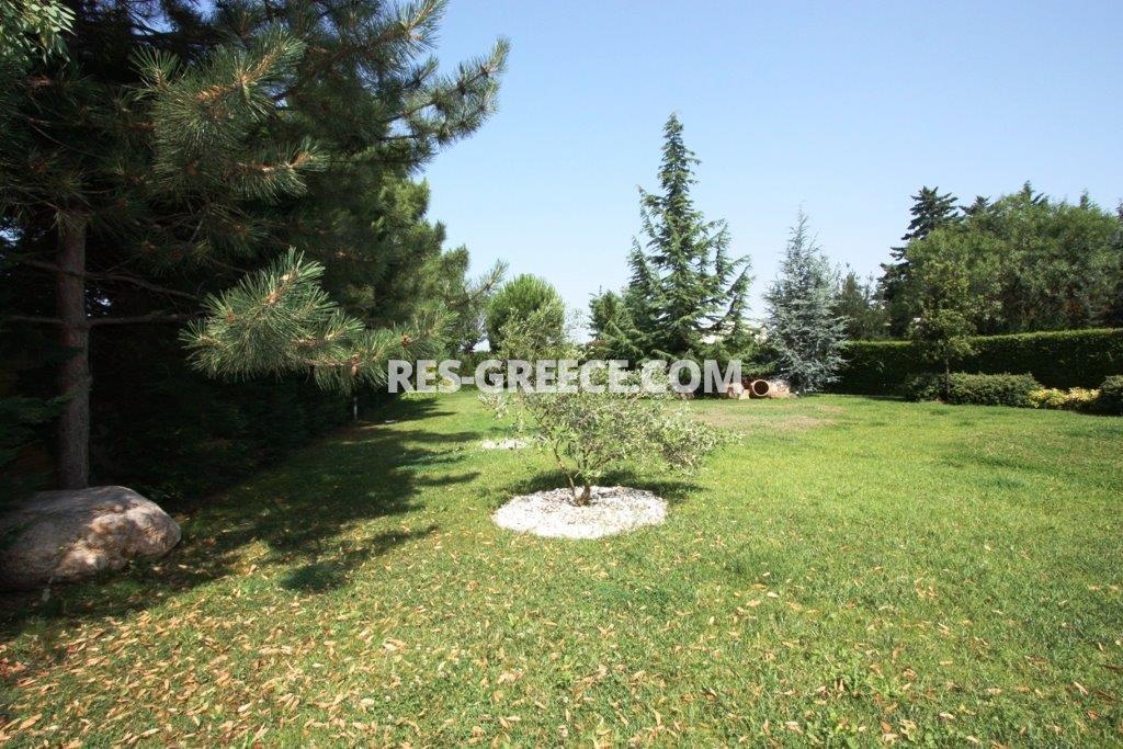 Лаксефото Панорама, Центральная Македония, Греция -  - Фото 51