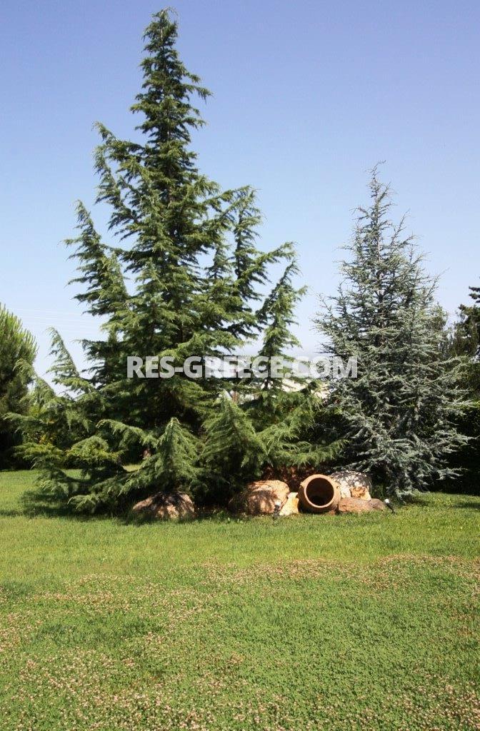 Лаксефото Панорама, Центральная Македония, Греция -  - Фото 52