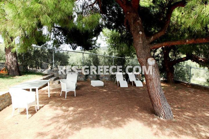 Вилла Натюрель, Халкидики-Ситония, Греция -  - Фото 26