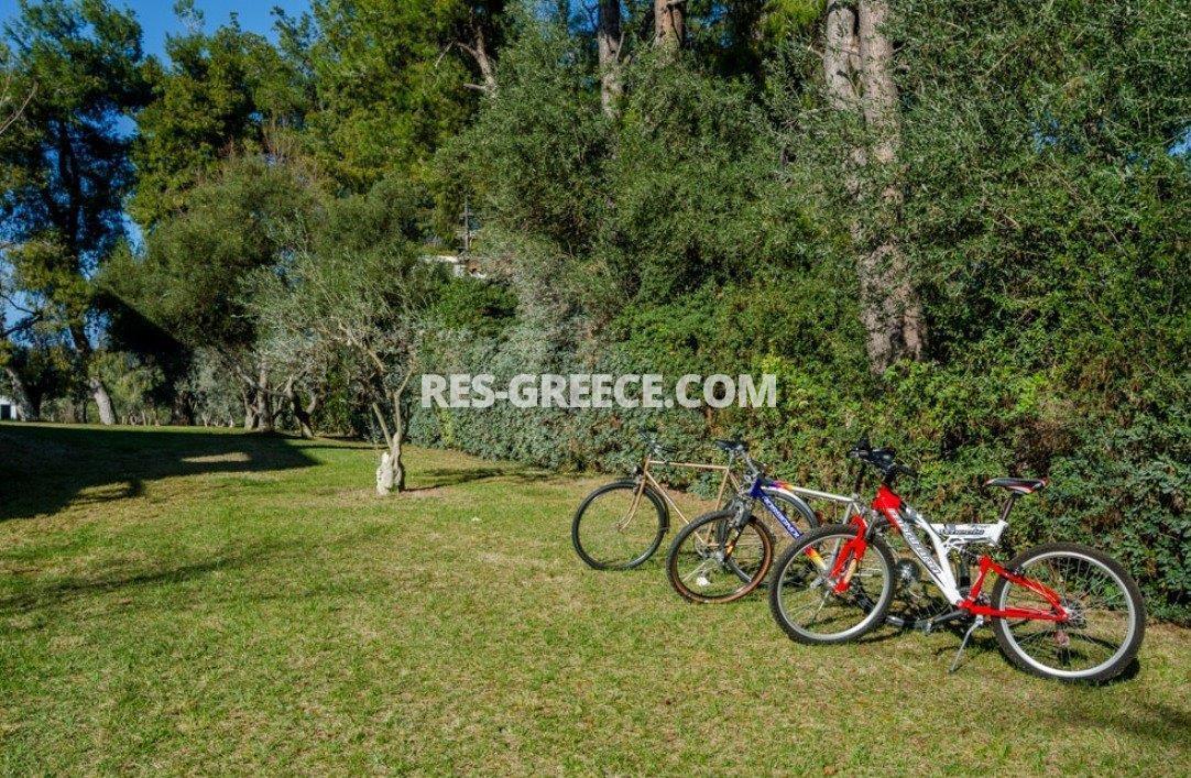 Вилла Ники, Халкидики-Ситония, Греция -  - Фото 48