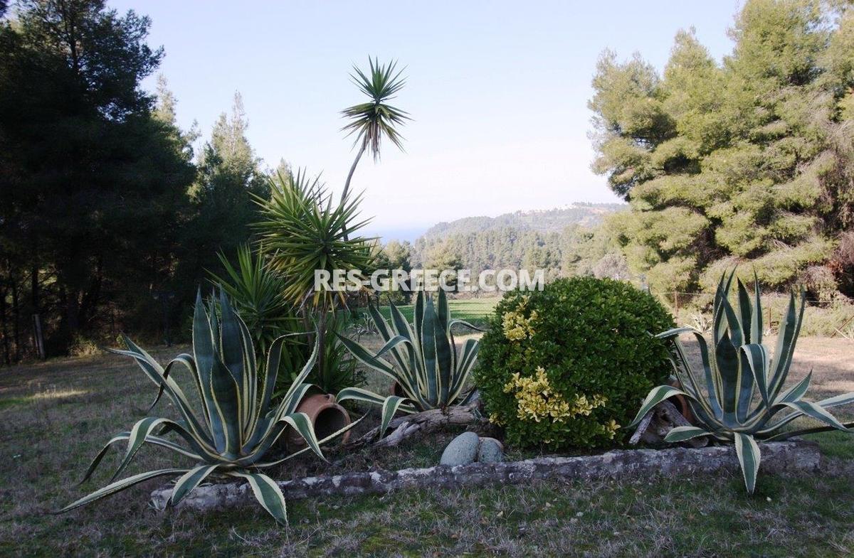 Сирокос, Халкидики-Кассандра, Греция -  - Фото 18