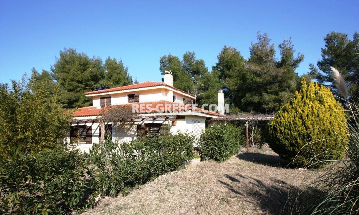 Сирокос, Халкидики-Кассандра, Греция -  - Фото 20