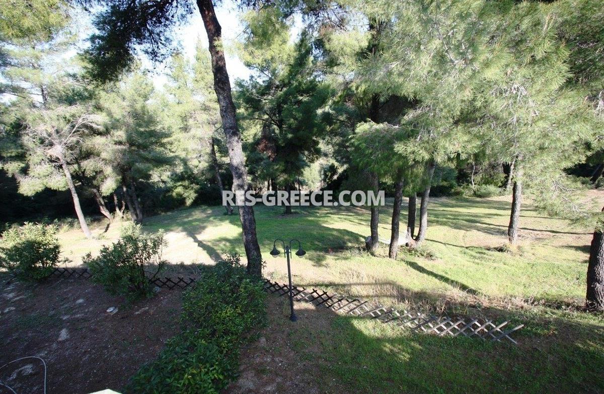 Сирокос, Халкидики-Кассандра, Греция -  - Фото 21