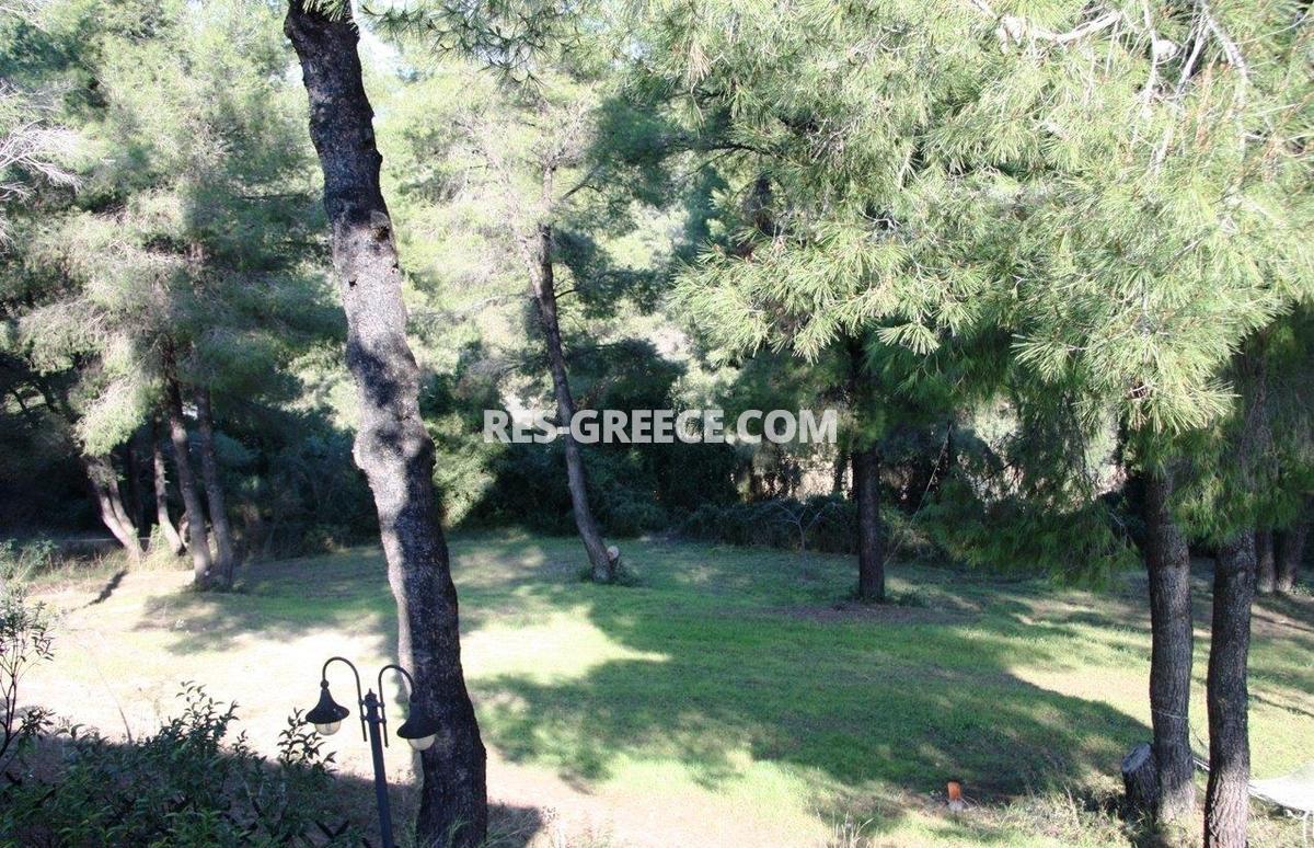 Сирокос, Халкидики-Кассандра, Греция -  - Фото 22