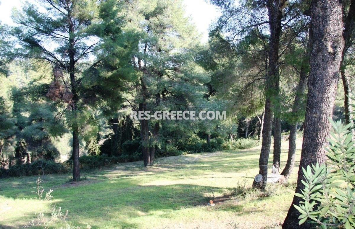 Сирокос, Халкидики-Кассандра, Греция -  - Фото 24