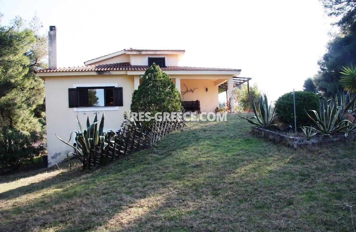 Сирокос, Халкидики-Кассандра, Греция -  - Фото 25