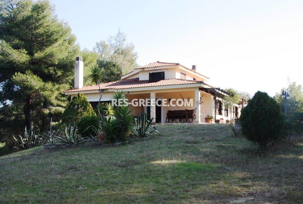 Сирокос, Халкидики-Кассандра, Греция -  - Фото 27