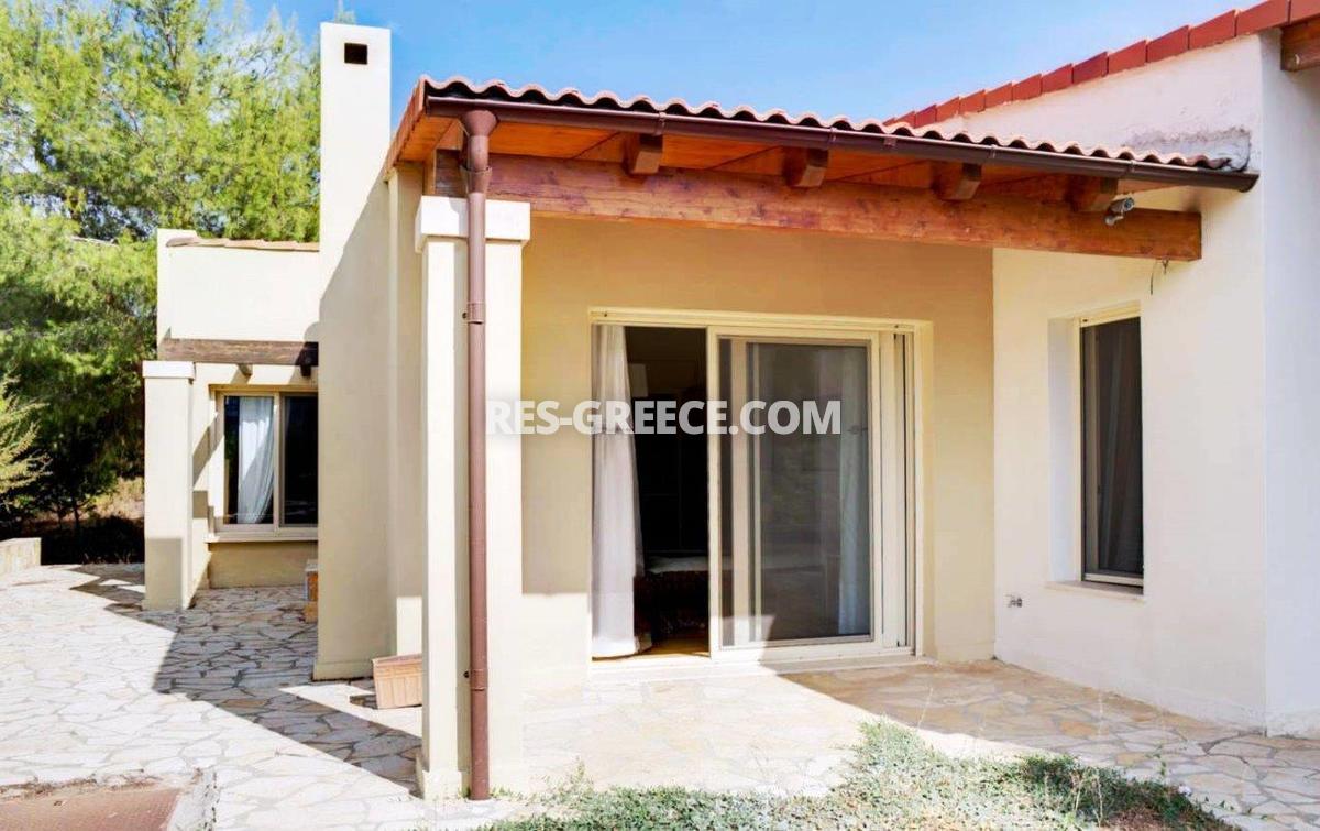 Парнита, Афины-Аттика, Греция -  - Фото 28