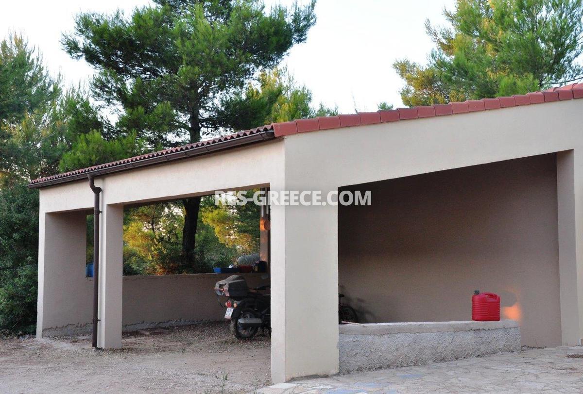 Парнита, Афины-Аттика, Греция -  - Фото 29