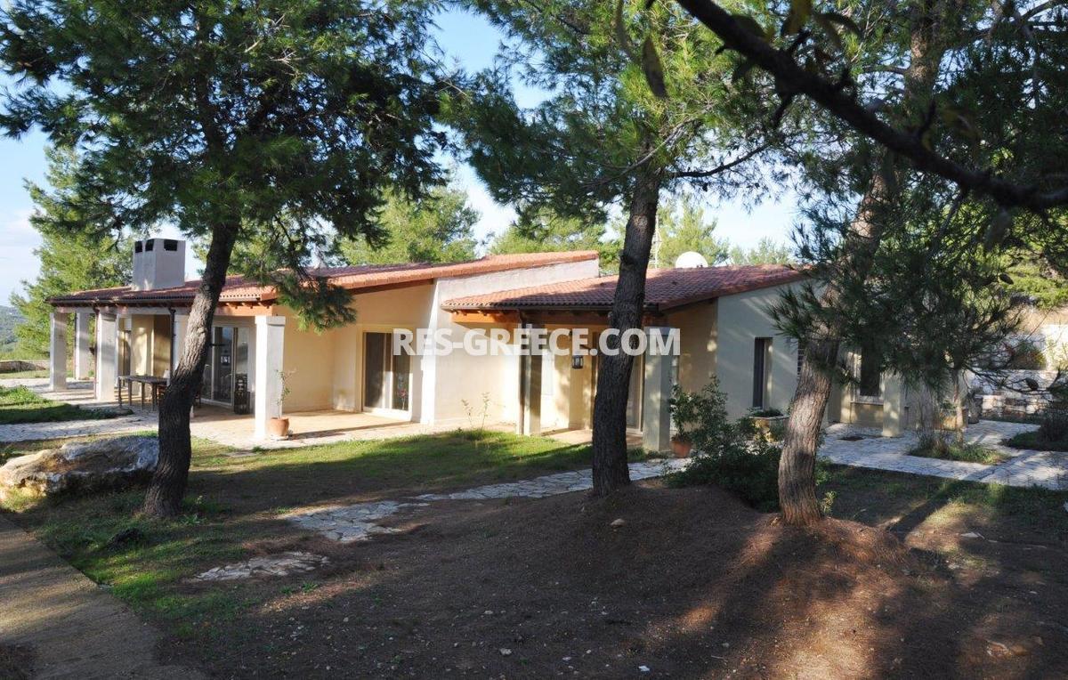 Парнита, Афины-Аттика, Греция -  - Фото 30