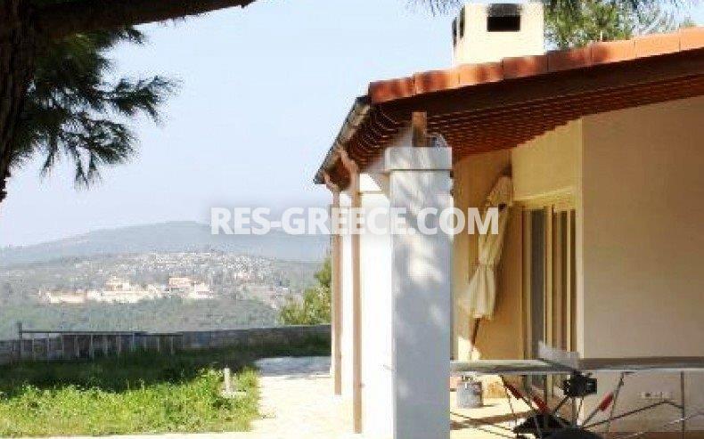 Парнита, Афины-Аттика, Греция -  - Фото 31