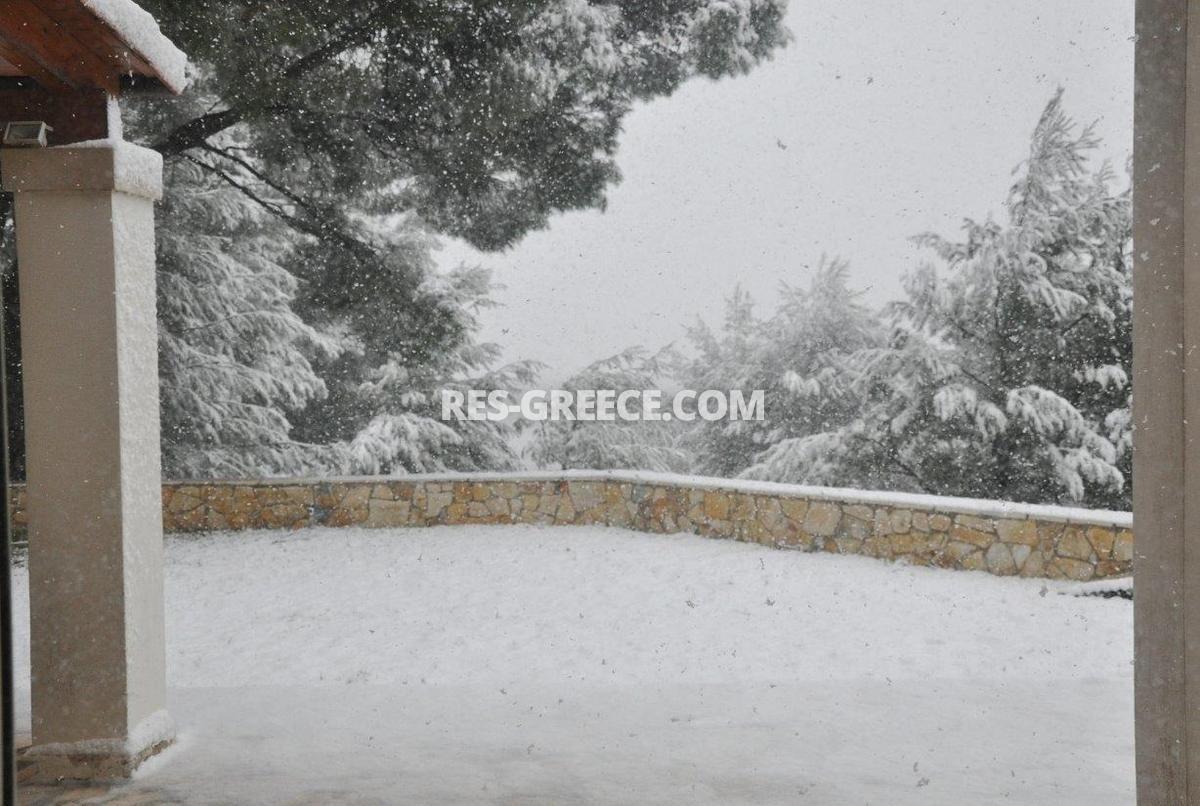 Парнита, Афины-Аттика, Греция -  - Фото 32