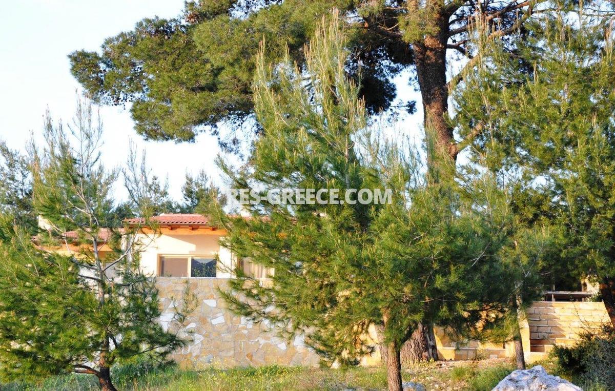 Парнита, Афины-Аттика, Греция -  - Фото 33