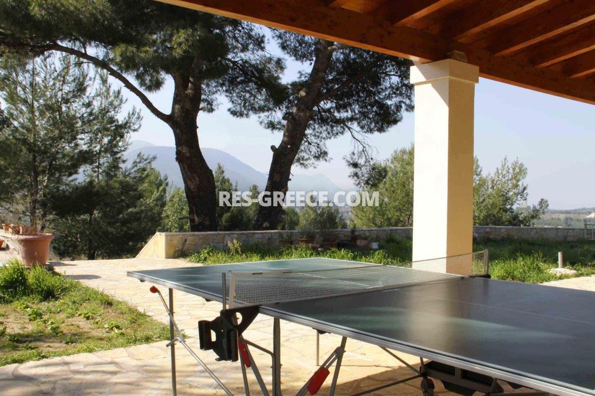 Парнита, Афины-Аттика, Греция -  - Фото 35