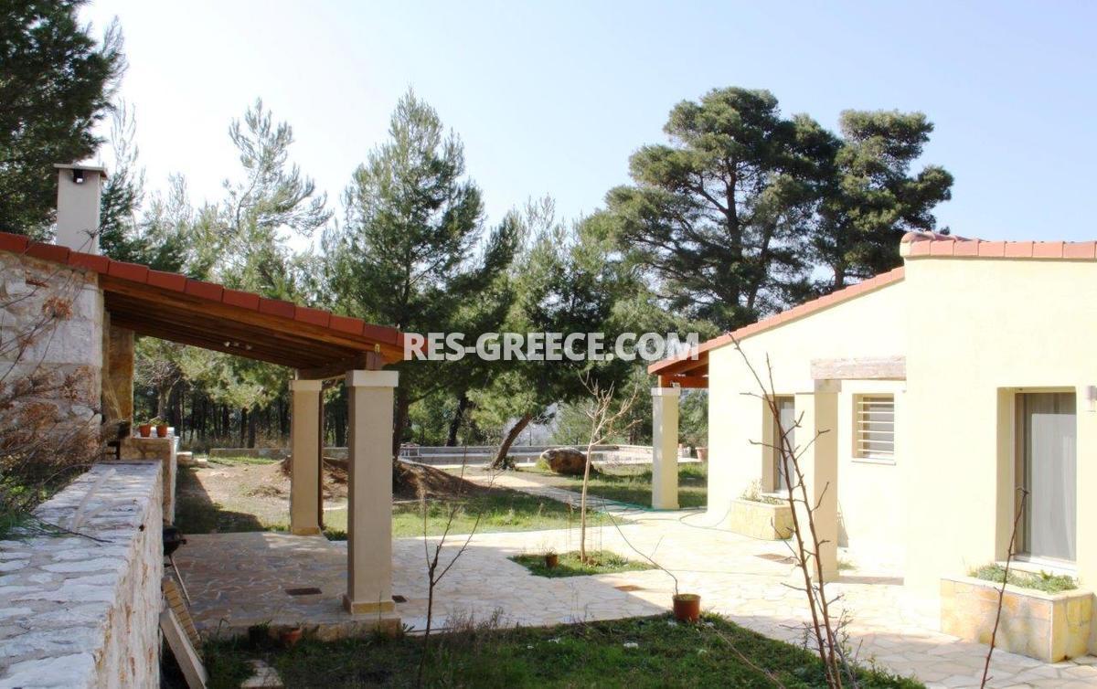 Парнита, Афины-Аттика, Греция -  - Фото 37