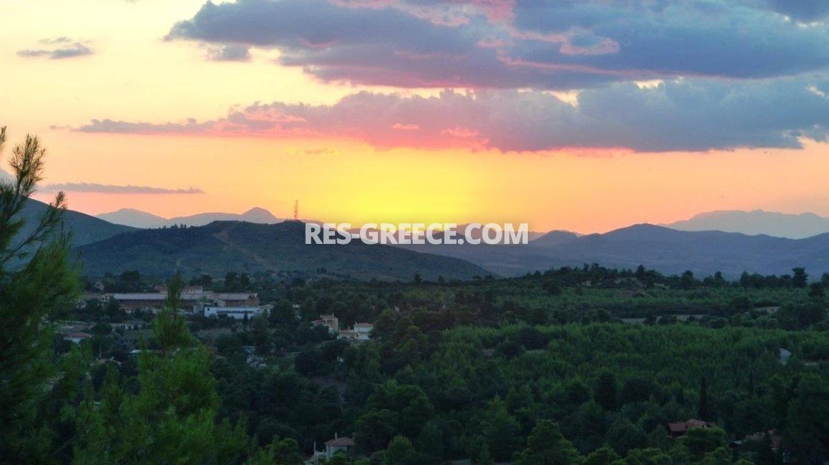 Парнита, Афины-Аттика, Греция -  - Фото 41