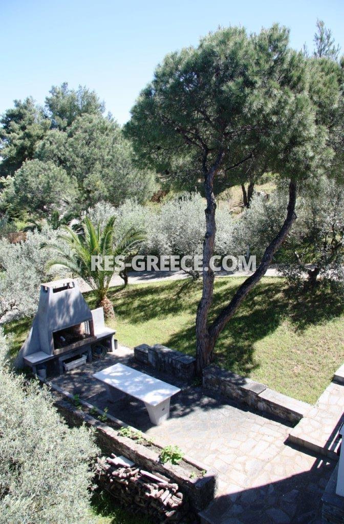 Пикродафни Вурвуру, Халкидики-Ситония, Греция -  - Фото 21