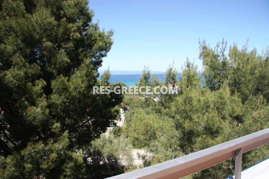 Пикродафни Вурвуру, Халкидики-Ситония, Греция -  - Фото 22