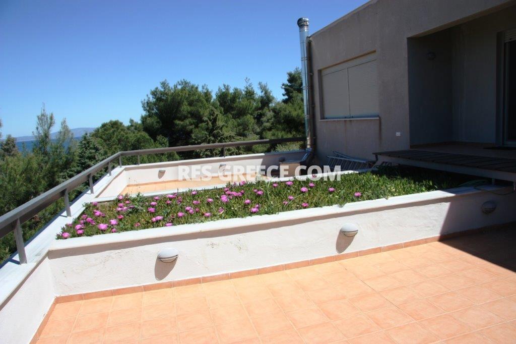 Пикродафни Вурвуру, Халкидики-Ситония, Греция -  - Фото 23