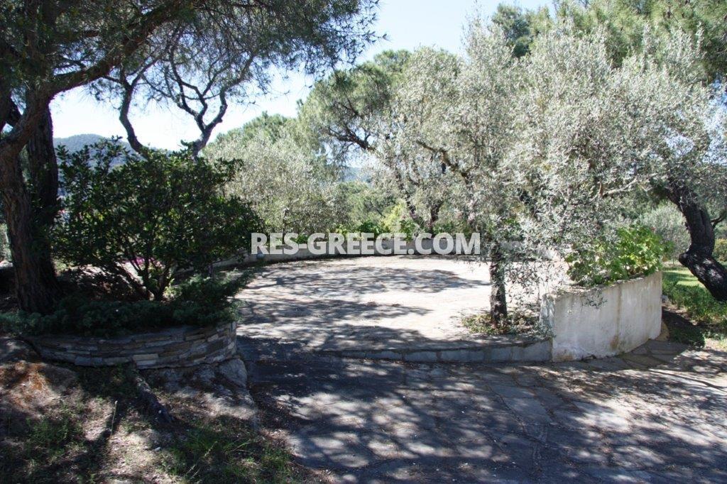 Пикродафни Вурвуру, Халкидики-Ситония, Греция -  - Фото 25