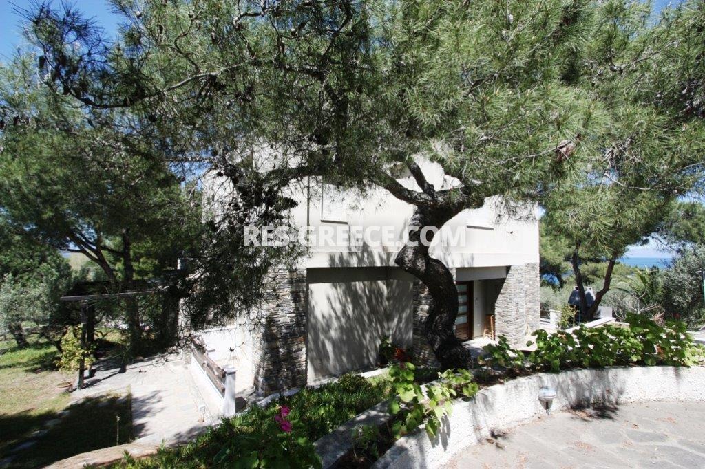 Пикродафни Вурвуру, Халкидики-Ситония, Греция -  - Фото 27