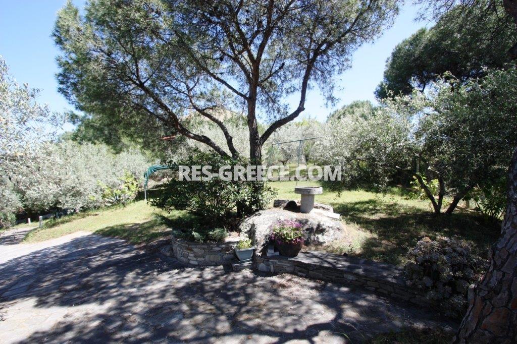 Пикродафни Вурвуру, Халкидики-Ситония, Греция -  - Фото 28