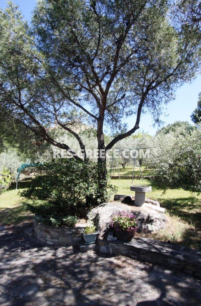 Пикродафни Вурвуру, Халкидики-Ситония, Греция -  - Фото 29