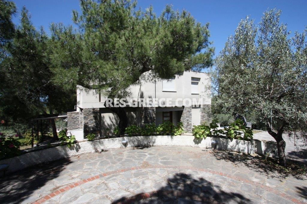 Пикродафни Вурвуру, Халкидики-Ситония, Греция -  - Фото 30