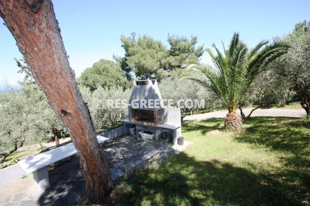 Пикродафни Вурвуру, Халкидики-Ситония, Греция -  - Фото 31