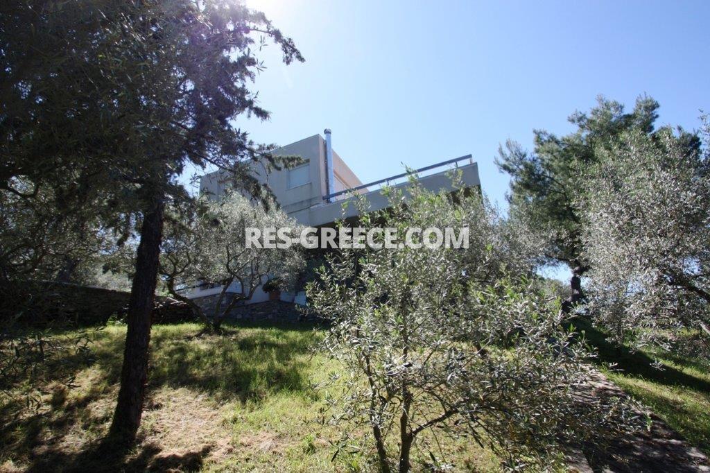 Пикродафни Вурвуру, Халкидики-Ситония, Греция -  - Фото 32