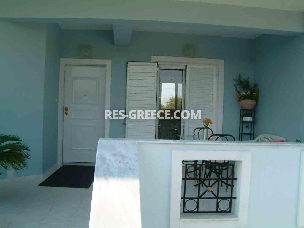 Спарти, Афины-Аттика, Греция -  - Фото 7