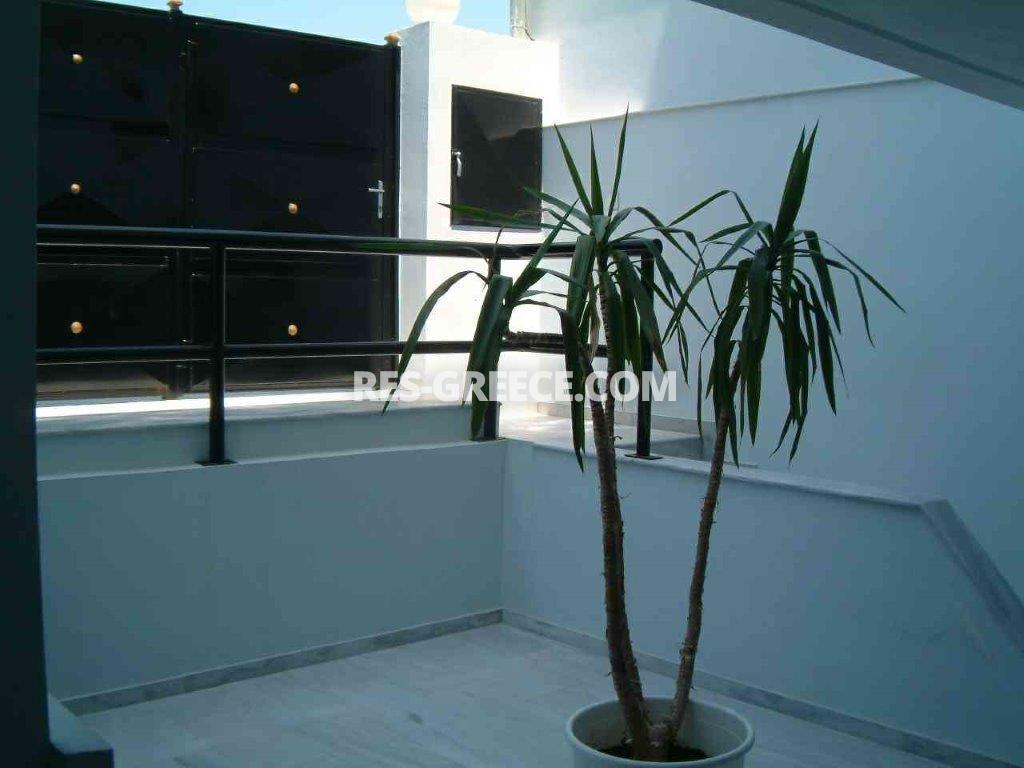 Спарти, Афины-Аттика, Греция -  - Фото 8